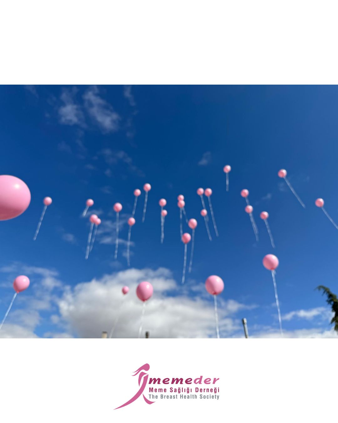 Kırşehir Pembe Festivali